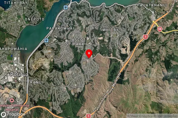 Waitangirua,Wellington Satellite Map