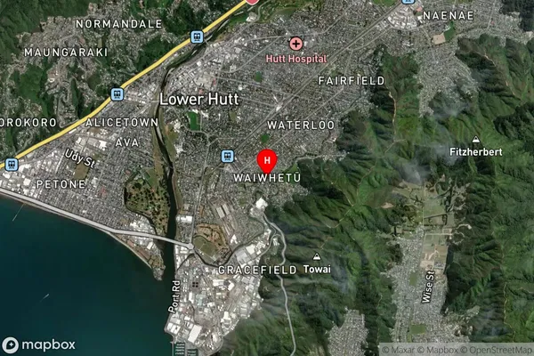 Waiwhetu,Wellington Satellite Map