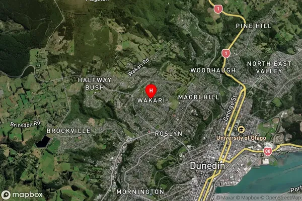 Wakari,Otago Satellite Map