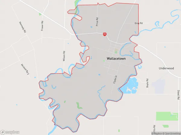 Wallacetown, Southland Polygon Area Map