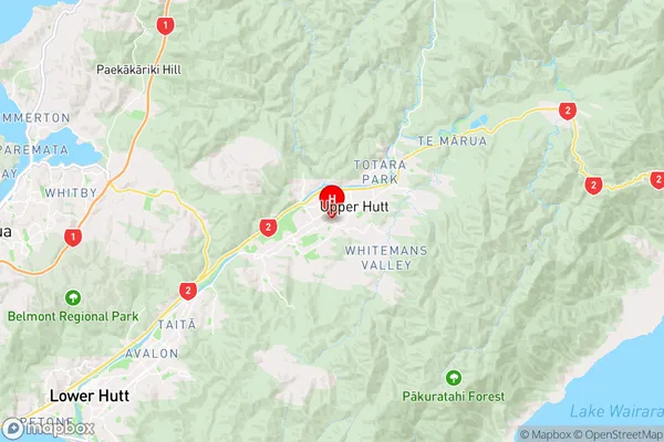 Wallaceville,Wellington Region Map