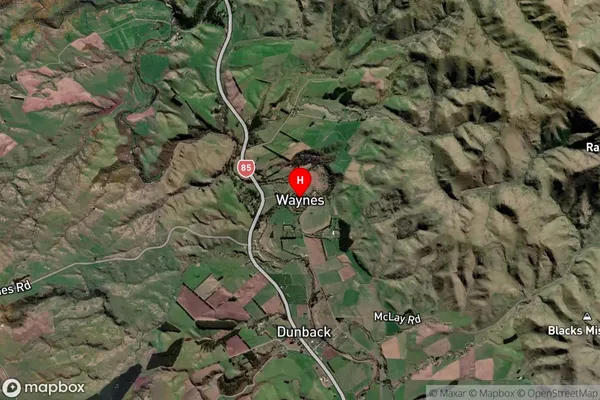 Waynes,Otago Satellite Map