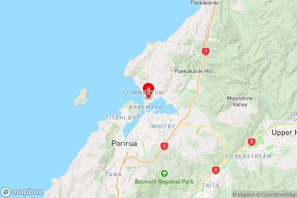 Camborne,Wellington Region Map