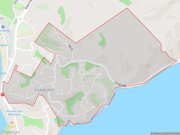 Camborne, Wellington Polygon Area Map