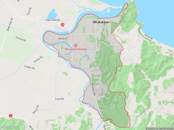 Whakatane, Bay of Plenty Polygon Area Map