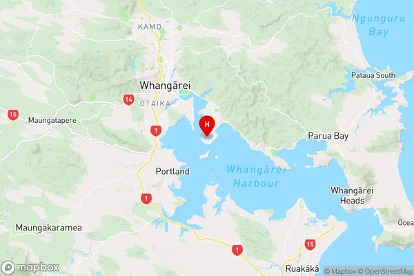 Whangarei Airport,Northland Region Map