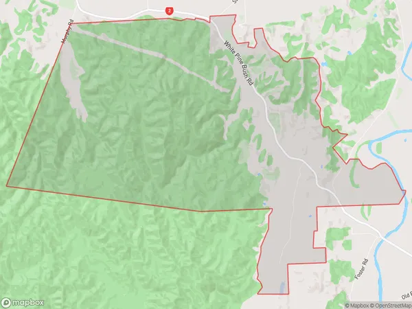 White Pine Bush, Bay of Plenty Polygon Area Map