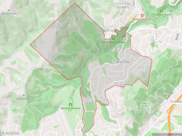 Wilton, Wellington Polygon Area Map