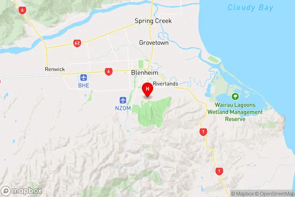 Witherlea,Marlborough Region Map