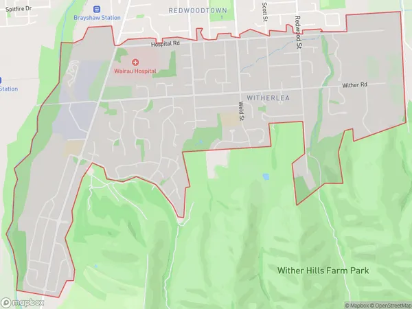 Witherlea, Marlborough Polygon Area Map