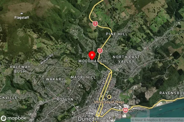 Woodhaugh,Otago Satellite Map