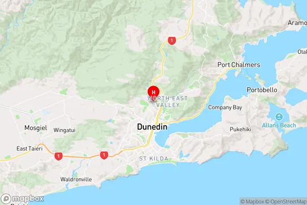 Woodhaugh,Otago Region Map