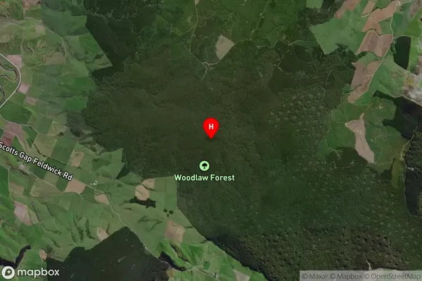 Woodlaw,Southland Satellite Map