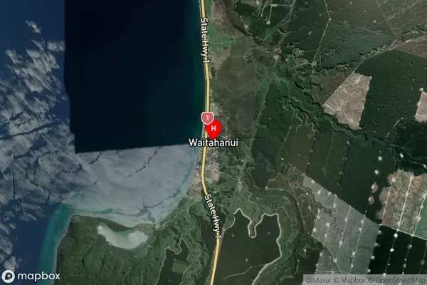 Waitahanui,Waikato Satellite Map