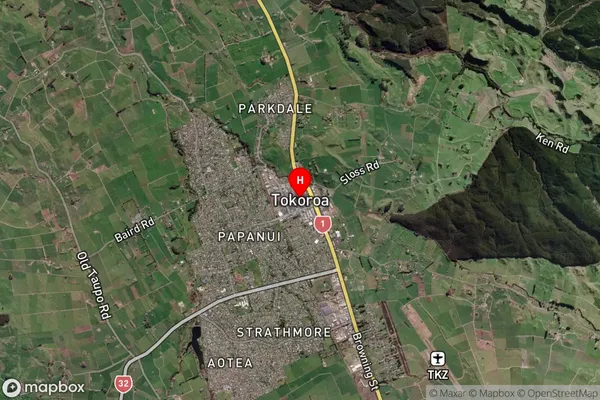 Tokoroa,Waikato Satellite Map