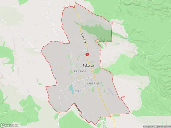 Tokoroa, Waikato Polygon Area Map