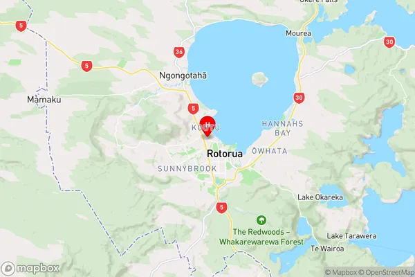 Rotorua,Bay of Plenty Region Map