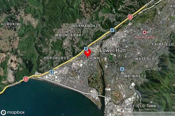 Alicetown,Wellington Satellite Map