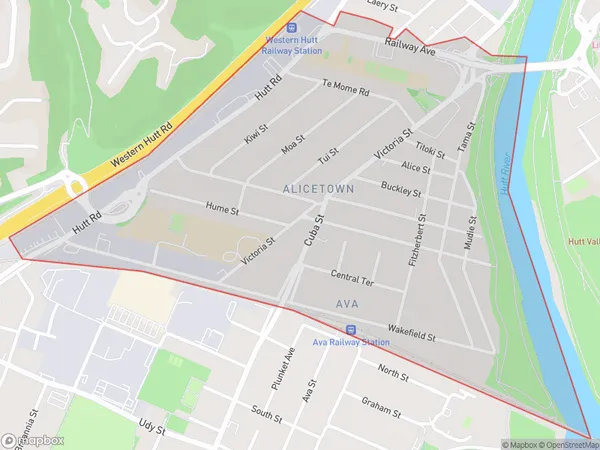 Alicetown, Wellington Polygon Area Map