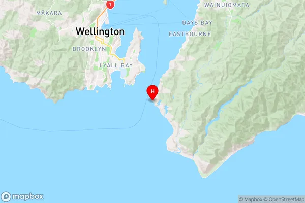 Pencarrow Head,Wellington Region Map