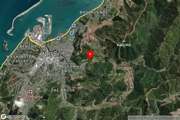 Maitai,Nelson Satellite Map