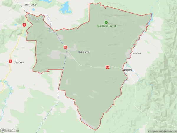 Kaingaroa Forest, Bay of Plenty Polygon Area Map