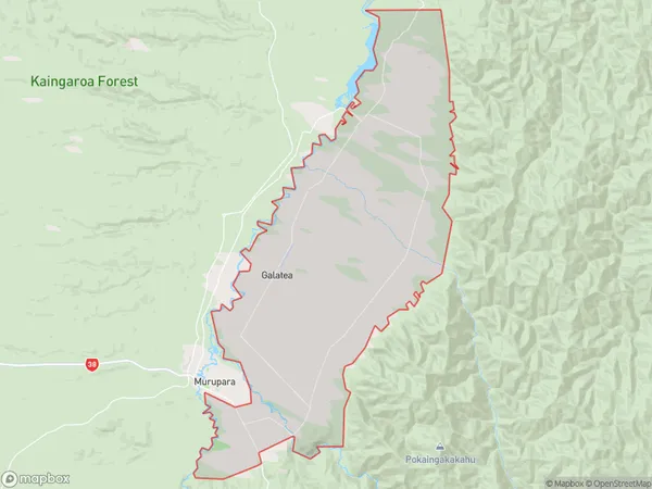 Galatea, Bay of Plenty Polygon Area Map