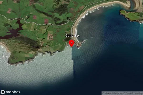 Curio Bay,Southland Satellite Map