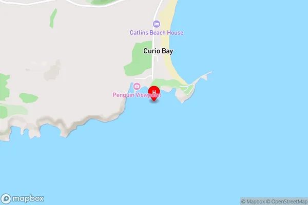 Curio Bay,Southland Area Map