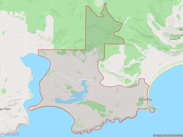 Curio Bay, Southland Polygon Area Map