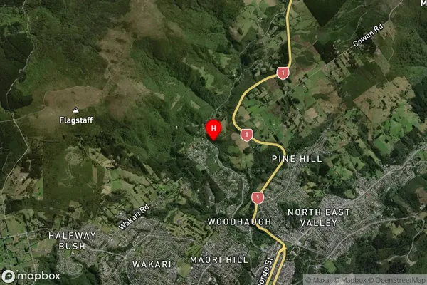 Glenleith,Otago Satellite Map