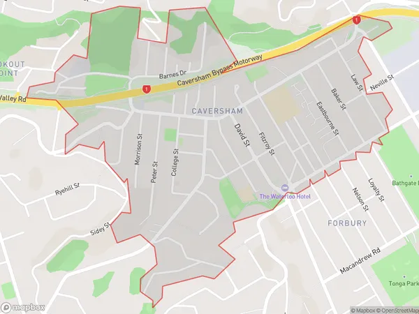 Caversham, Otago Polygon Area Map