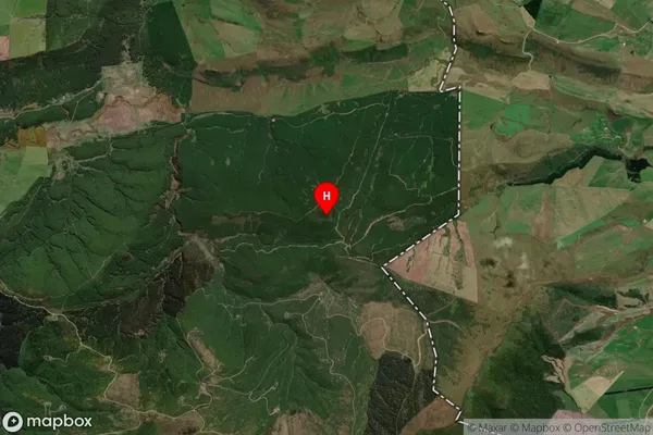 Centre Hill,Southland Satellite Map