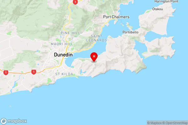 Highcliff,Otago Region Map
