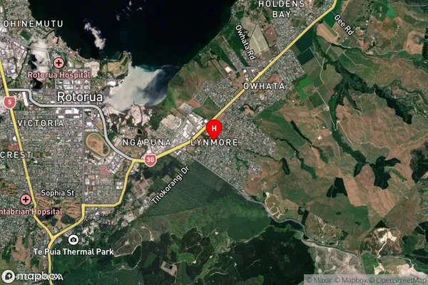 Lynmore,Bay of Plenty Satellite Map