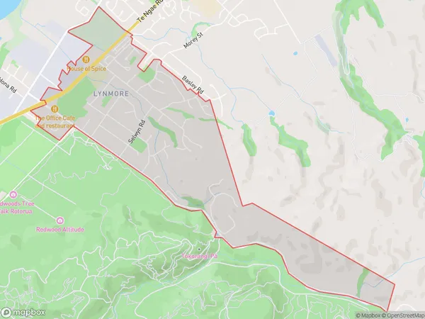 Lynmore, Bay of Plenty Polygon Area Map