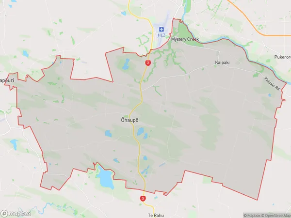 Ohaupo, Waikato Polygon Area Map