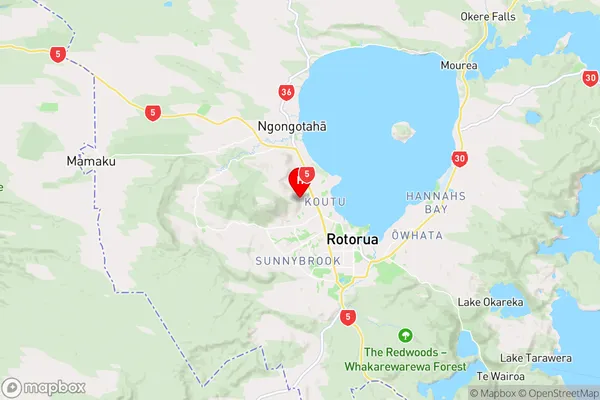 Selwyn Heights,Bay of Plenty Region Map