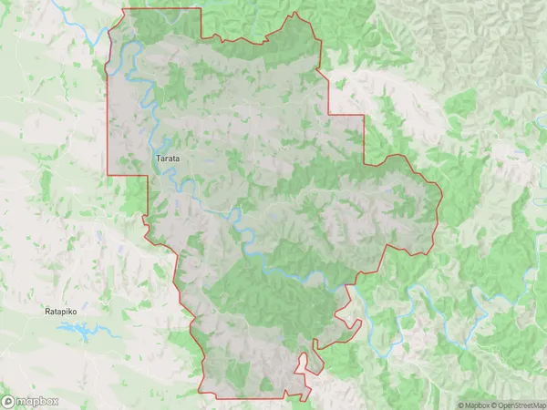 Tarata, Waikato Polygon Area Map