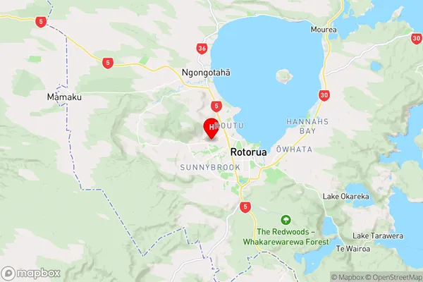 Western Heights,Bay of Plenty Region Map