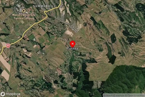 Turitea,Manawatu-Wanganui Satellite Map