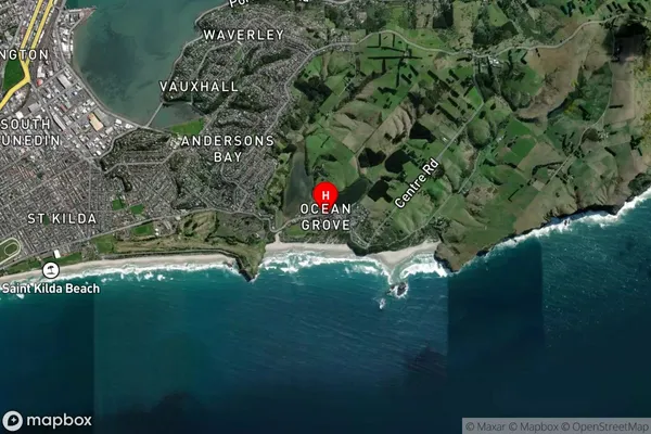 Ocean Grove,Otago Satellite Map