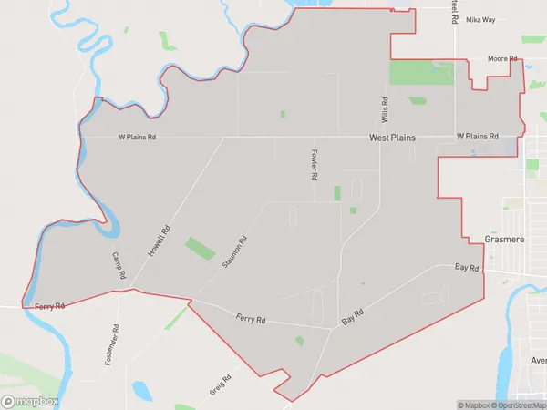 West Plains, Southland Polygon Area Map