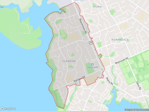 Clendon Park, Auckland Polygon Area Map