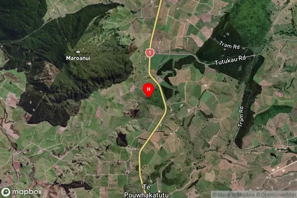 Putauaki,Waikato Satellite Map