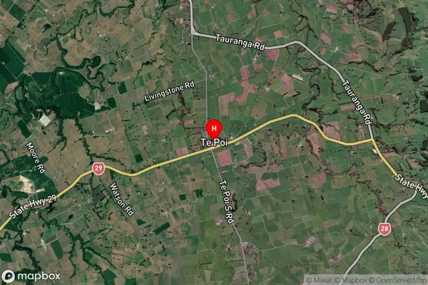 Te Poi,Waikato Satellite Map