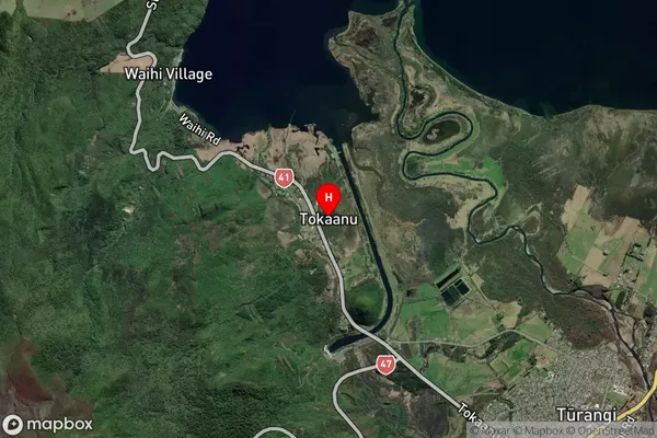 Tokaanu,Waikato Satellite Map