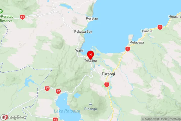 Tokaanu,Waikato Region Map