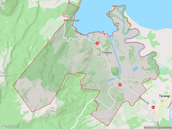 Tokaanu, Waikato Polygon Area Map