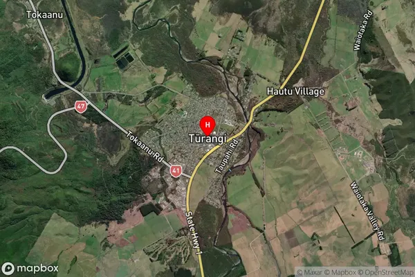 Turangi,Waikato Satellite Map